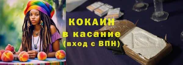 хмурый Дмитриев