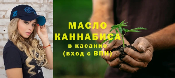 хмурый Дмитриев
