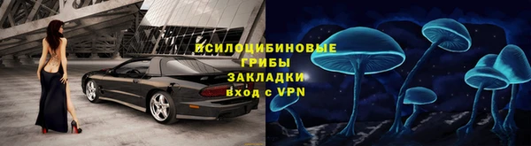 хмурый Дмитриев