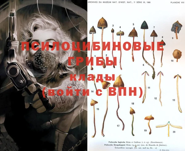 альфа пвп Дмитров