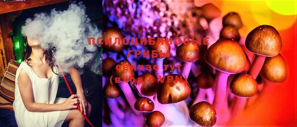 хмурый Дмитриев